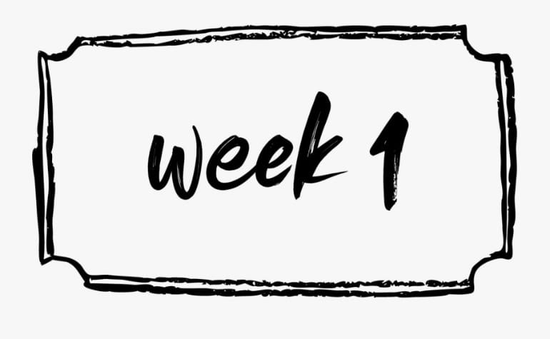 Olden Era Beginner Guide: First Week Strategy, Hero Types and Early Game Basics